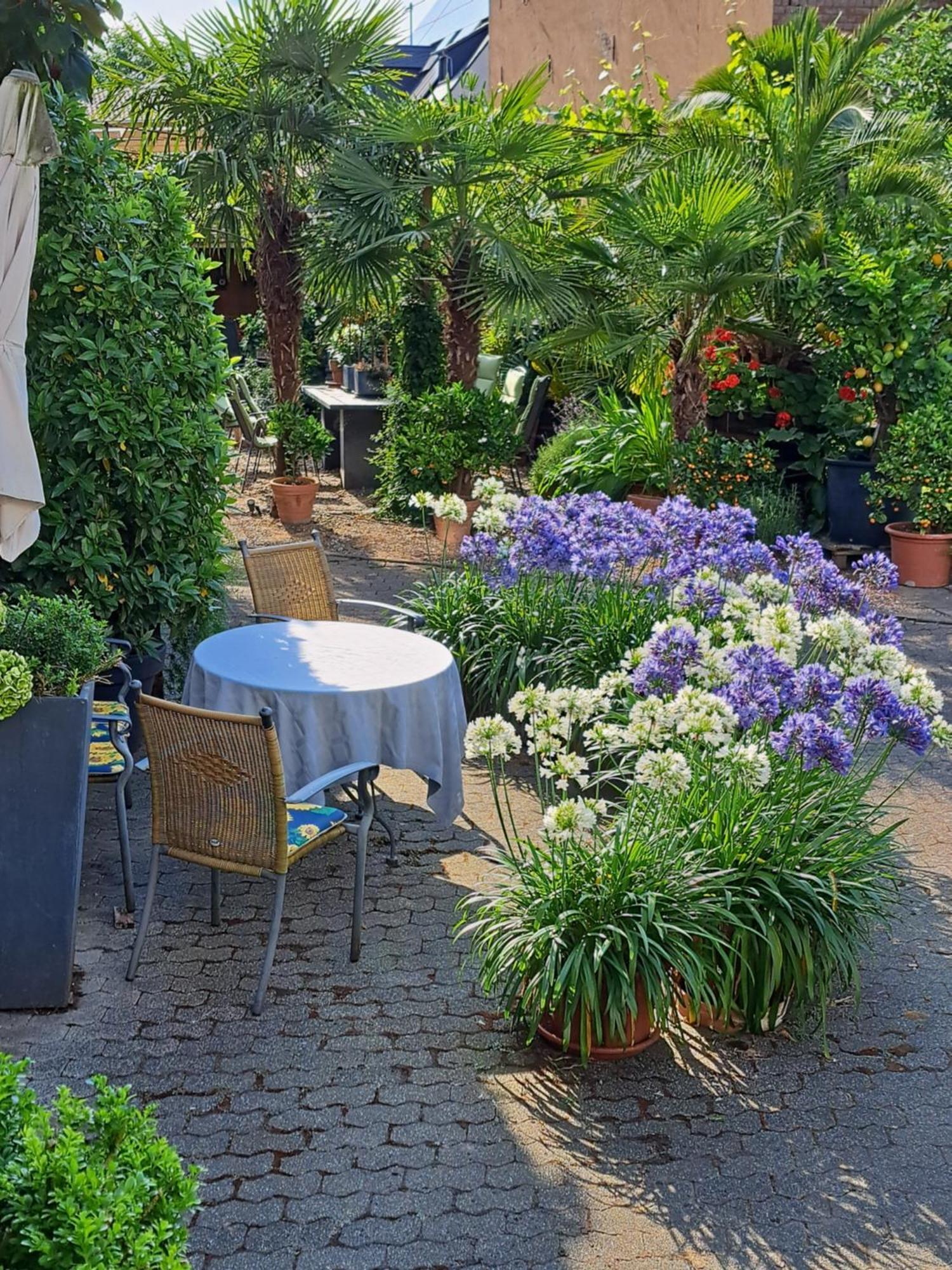 Landhauskiebel Erden Bagian luar foto